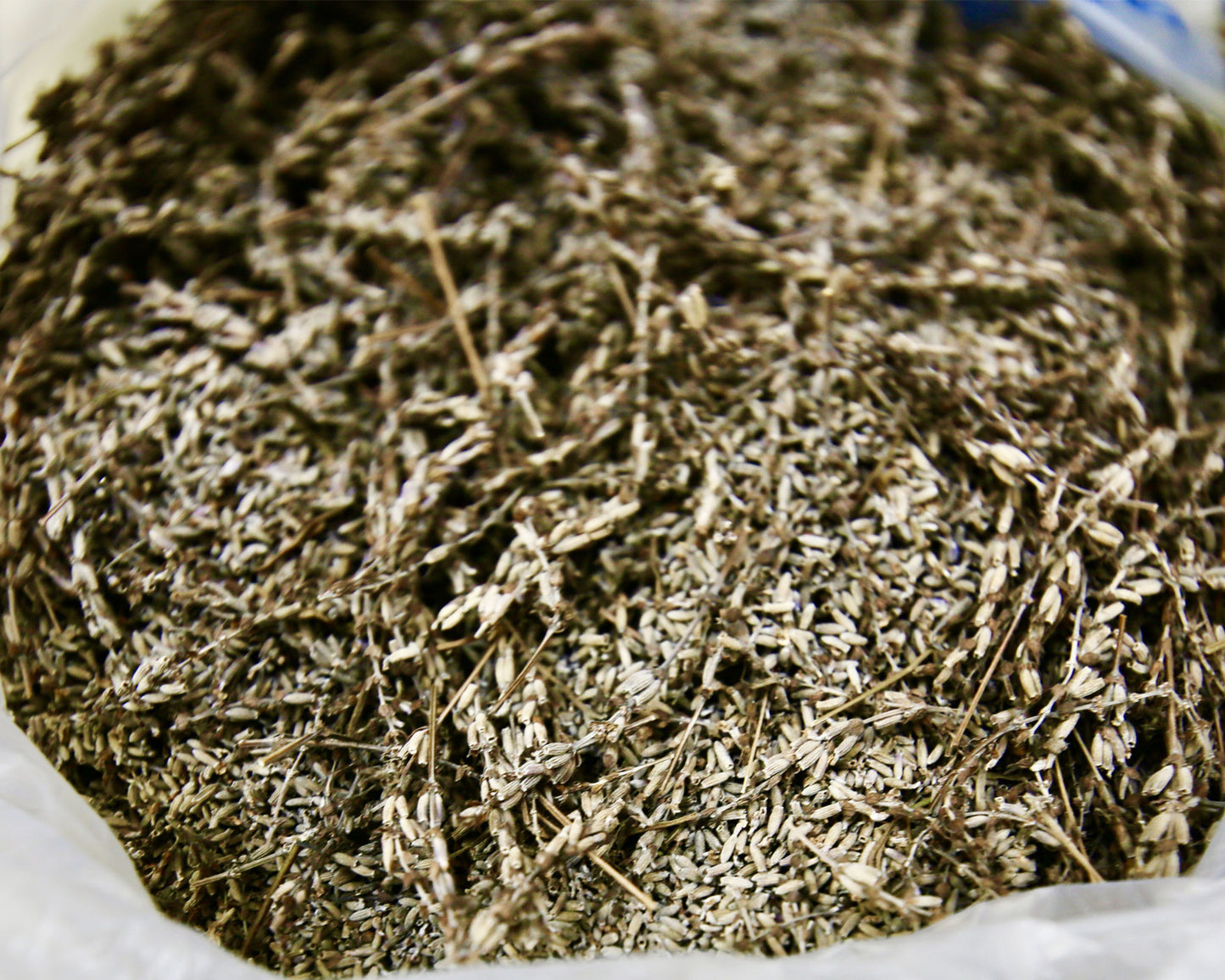 'Nemu', The Sleepy Bear -A cute and cuddly plush bear designed to help you relax and sleep better