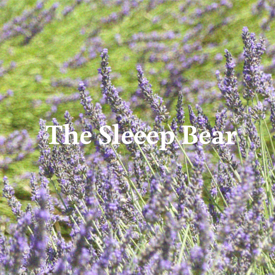 Nemu-The SLEEEP Bear